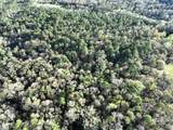 0 Dogwood Fork Road - Photo 8