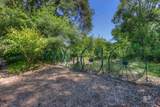21312 Rolling Oaks Drive - Photo 38