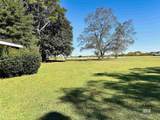 5435 Highway 21 - Photo 12