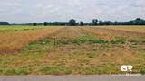 0 Shell Road - Photo 11
