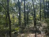 0 Danner Road - Photo 2