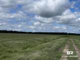 5700 Block Pine Forest Road - Photo 34