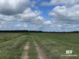 5700 Block Pine Forest Road - Photo 35
