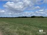 5700 Block Pine Forest Road - Photo 36