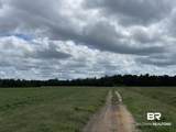5700 Block Pine Forest Road - Photo 43