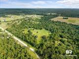 26242 Eagle Trace - Photo 11