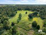 26242 Eagle Trace - Photo 5