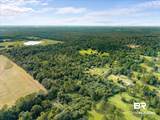26242 Eagle Trace - Photo 8