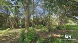 903 Savannah Court - Photo 1