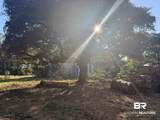 919 Hickory Street - Photo 6