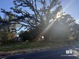 919 Hickory Street - Photo 7