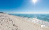 29576 Perdido Beach Boulevard - Photo 19