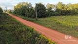 0 County Road 65 Lot #3 - Photo 17