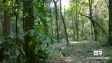 0 Old County Road - Photo 5