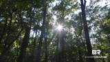 0 Old County Road - Photo 7