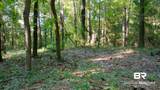 0 Old County Road - Photo 8