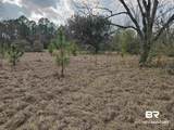 29640 Us Highway 98 - Photo 16
