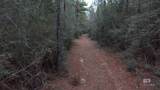 0 Griggers Road - Photo 35