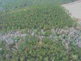 0 Griggers Road - Photo 37