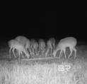 0 Griggers Road - Photo 41
