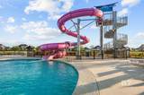 10831 Winning Colors Trail - Photo 27