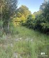 0 Nolte Creek Drive - Photo 2