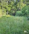 0 Nolte Creek Drive - Photo 4
