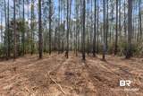 Lot #10 Bermuda Lane - Photo 10