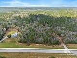 33521 Jimmy Faulkner Drive - Photo 4