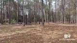 0 Wolf Bay Drive - Photo 20