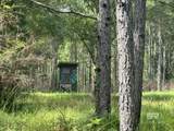 0 Nokomis Road - Photo 3