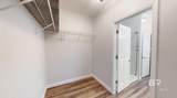 2651 Juniper Street - Photo 35
