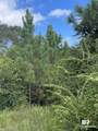 5700 Block Pine Forest Road - Photo 16