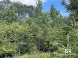 5700 Block Pine Forest Road - Photo 17
