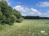 5700 Block Pine Forest Road - Photo 18