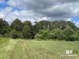5700 Block Pine Forest Road - Photo 19