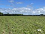 5700 Block Pine Forest Road - Photo 24