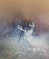 0 Griggers Road - Photo 10