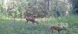 0 Griggers Road - Photo 17