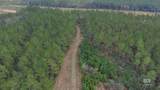 0 Griggers Road - Photo 20