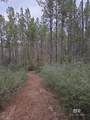 0 Griggers Road - Photo 31