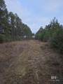 0 Griggers Road - Photo 32