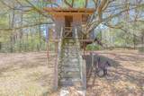 43101 Brown Road - Photo 68