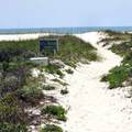 28835 Perdido Beach Boulevard - Photo 24