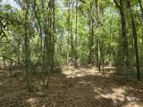 1131 Wolf Log Road - Photo 10