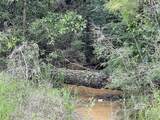 1131 Wolf Log Road - Photo 2