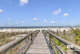 24101 Perdido Beach Boulevard - Photo 35