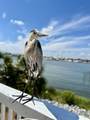 16590 Perdido Key Drive - Photo 17