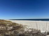26802 Perdido Beach Boulevard - Photo 19