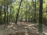 1131 Wolf Log Road - Photo 4